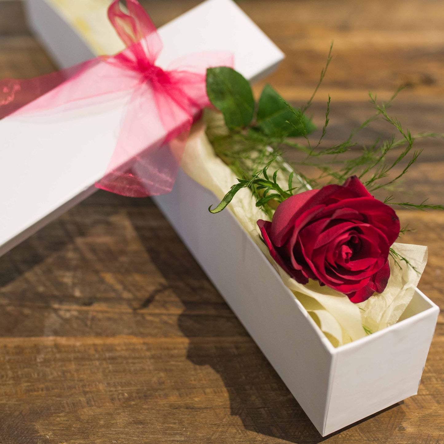 Single red rose in gift box