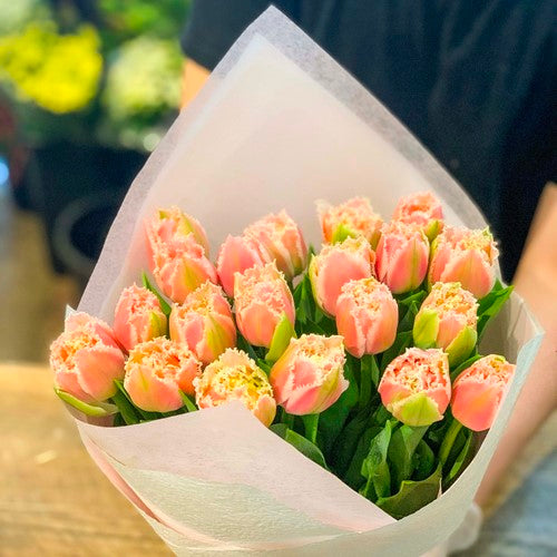 Filled tulip