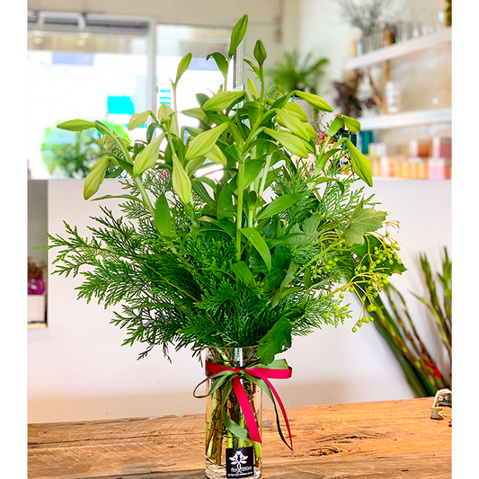 Christmas lily in vase