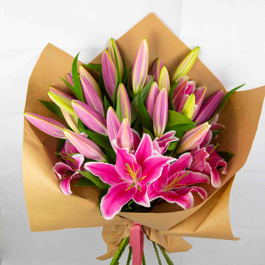 Pink oriental lily